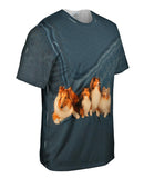 Sheltie Clan