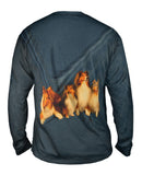 Sheltie Clan
