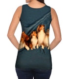 Sheltie Clan