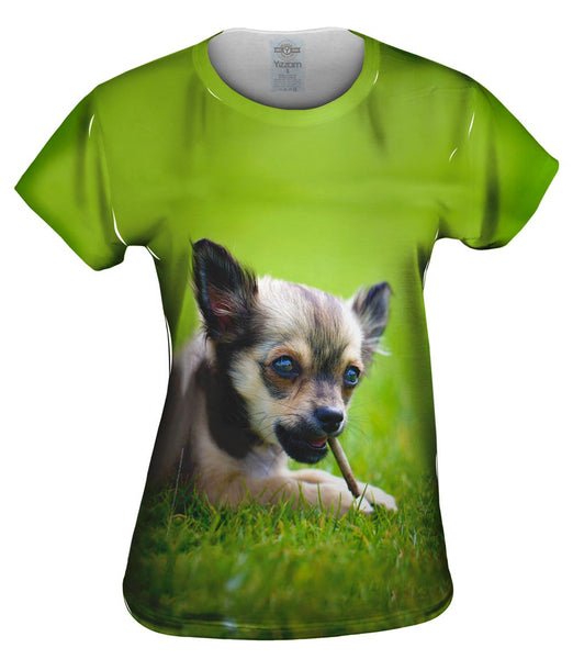Chihuaha Loves To Chew Womens Top