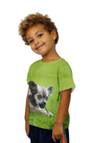 Kids Chihuaha Loves To Chew
