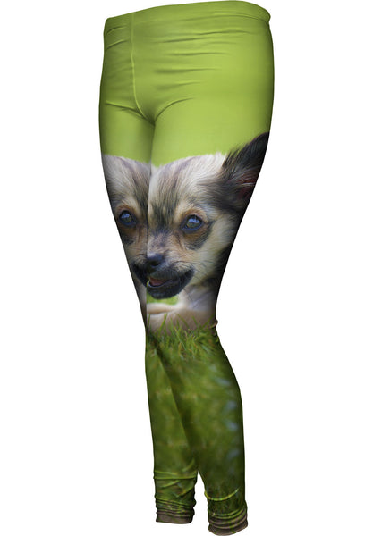 Chihuaha Loves To Chew Womens Leggings