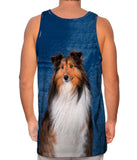 Sheltie With Green Eyes