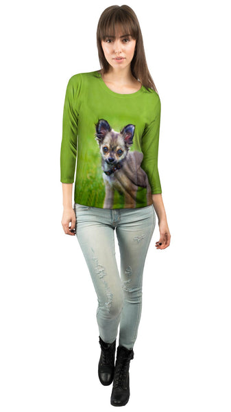 Longhaired Chihuahua&nbsp;Womens 3/4 Sleeve