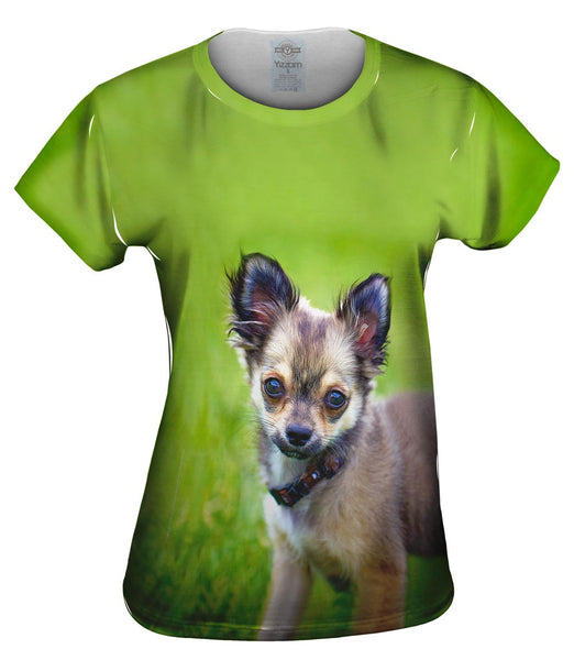 Longhaired Chihuahua Womens Top