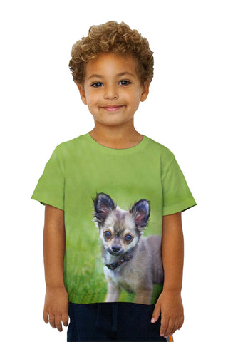 Kids Longhaired Chihuahua