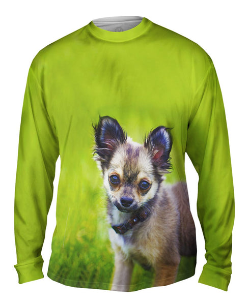 Longhaired Chihuahua&nbsp;Mens Long Sleeve