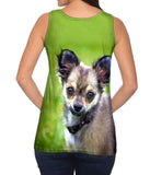 Longhaired Chihuahua