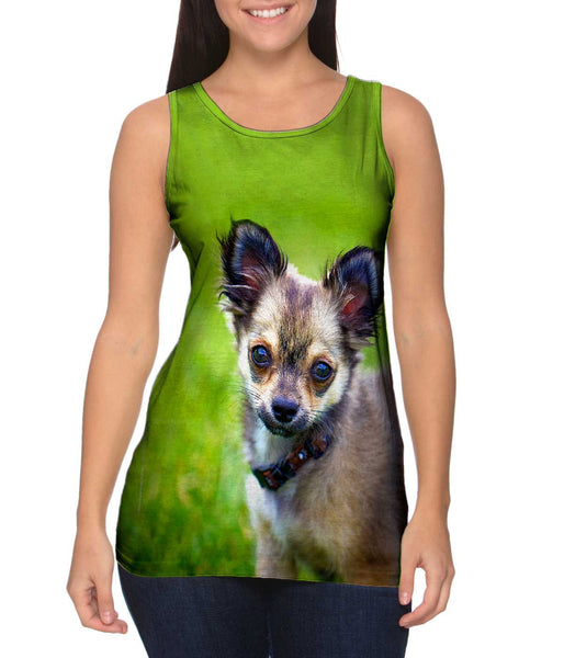 Longhaired Chihuahua&nbsp;Womens Tank Top