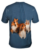 Sheltie Photo Shoot