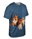 Sheltie Photo Shoot