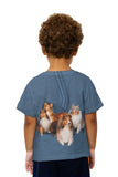 Kids Sheltie Photo Shoot