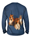 Sheltie Photo Shoot