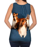 Sheltie Photo Shoot