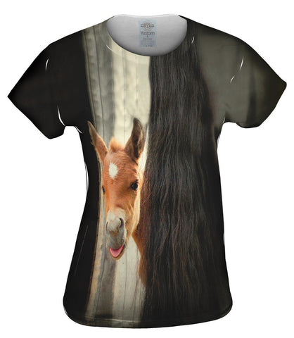 Peek A Boo Horse