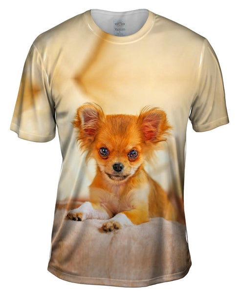 Furry Puppy Chihuahua Mens T-Shirt