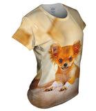 Furry Puppy Chihuahua