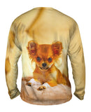 Furry Puppy Chihuahua