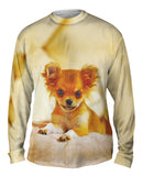 Furry Puppy Chihuahua