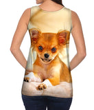 Furry Puppy Chihuahua
