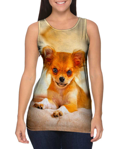 Furry Puppy Chihuahua