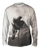 Bucking Bronco