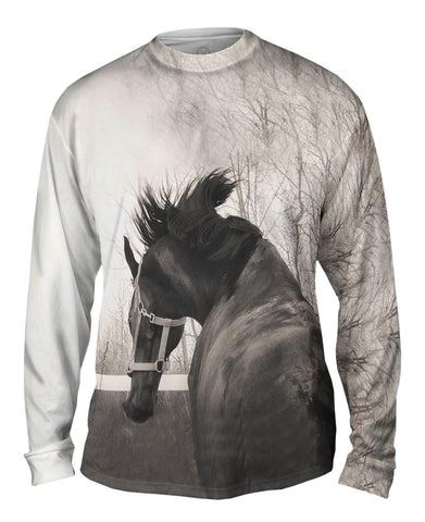 Bucking Bronco