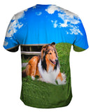 Blue Sky Collie