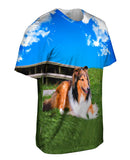 Blue Sky Collie
