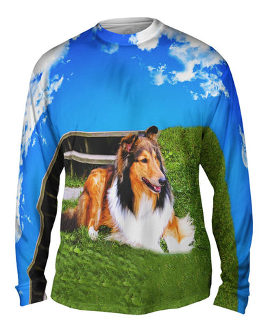 Blue Sky Collie