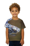Kids Aquarium Turtle