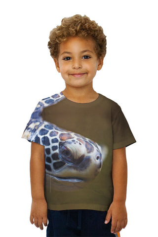 Kids Aquarium Turtle