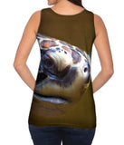 Aquarium Turtle