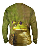 Purple Eyed Frog