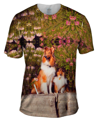 Sheltie Wall Flower