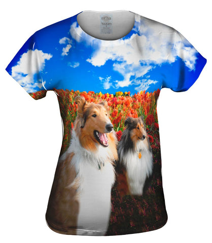 Shelties Among Tulips