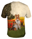 Shelties In Garden