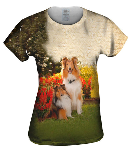 Shelties In Garden
