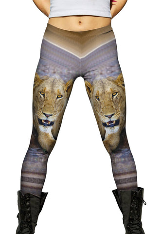 Big Cat Lion
