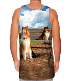 I Love The Park Shelties