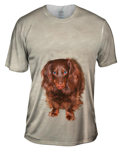 Bad Mood Chocolate Dachshund