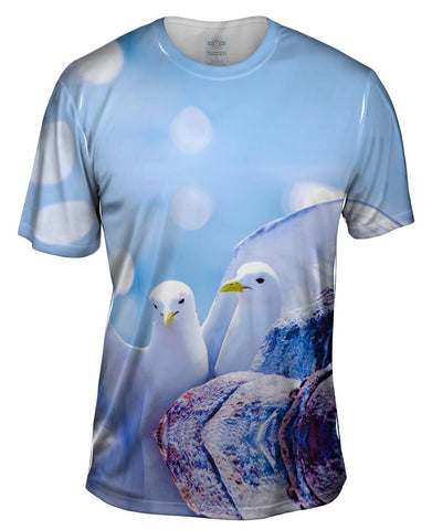 Seagull Fancy