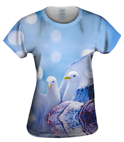 Seagull Fancy