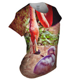 Mother Loves Her Baby Flamingo