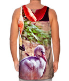 Mother Loves Her Baby Flamingo