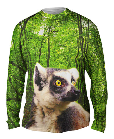 Yellow Eyed Lemur