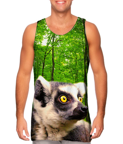 Yellow Eyed Lemur