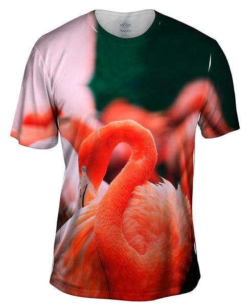 Ruffled Feathers Flamingo Mens T-Shirt
