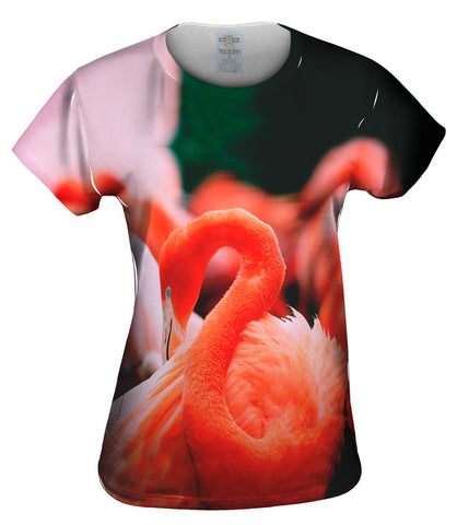 Ruffled Feathers Flamingo