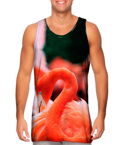 Ruffled Feathers Flamingo